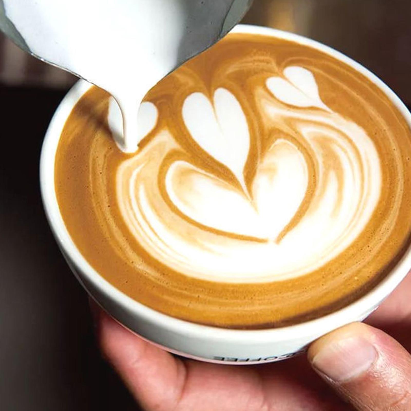 إبريق قهوة تركي سعة 600 مل مع  - مراجعة Xbloom Coffee Tea وسعره